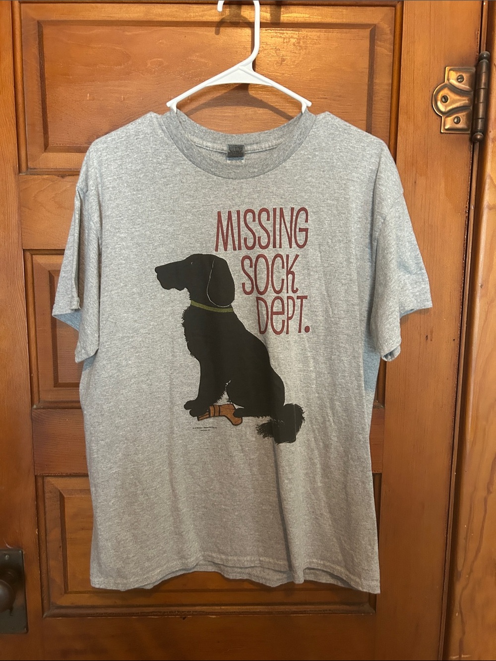 Missing Sock Dept.  Graphic T-Shirt - Gray
